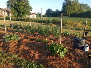 Potager